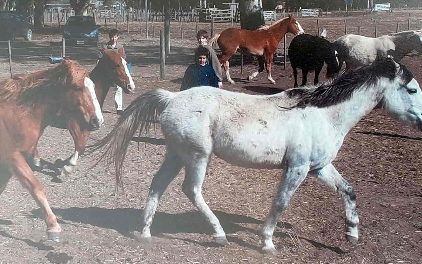 foto del entorno ganaderia
